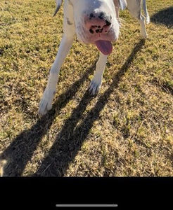 Meet your Posher, Diane